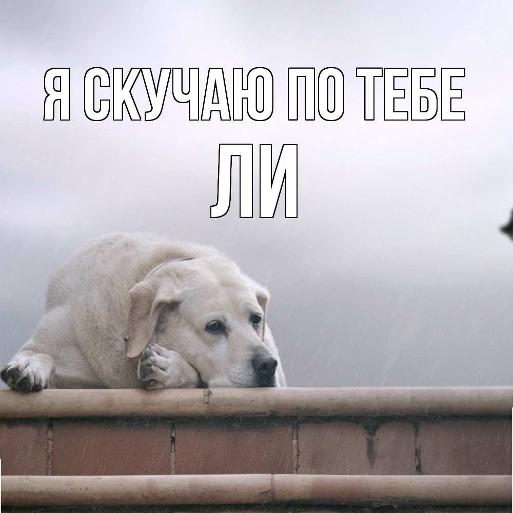 Открытка  с именем. Ли, Я скучаю по тебе  