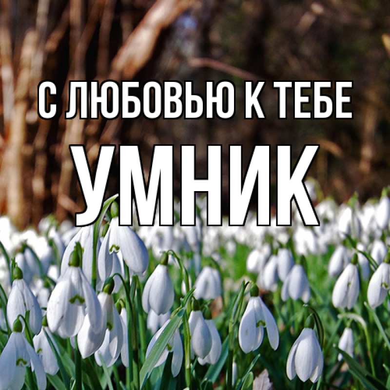 Картинка С любовью к тебе, Умник