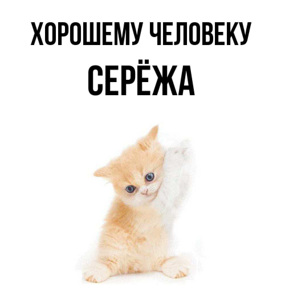 Открытка  с именем. Серёжа, Хорошему человеку  