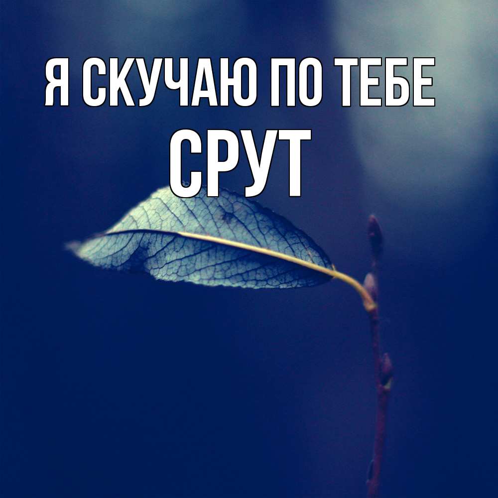 Открытка  с именем. срут, Я скучаю по тебе  