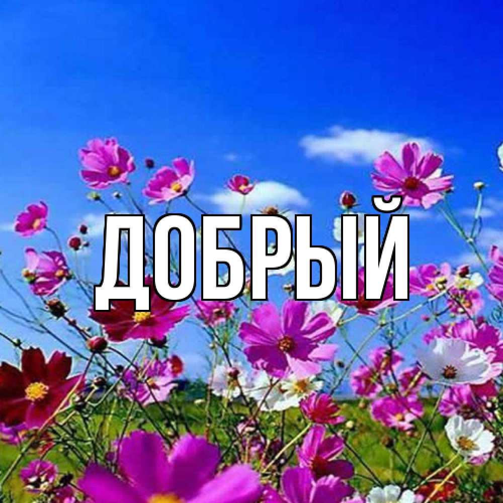 Открытка  с именем. Добрый, Главная  