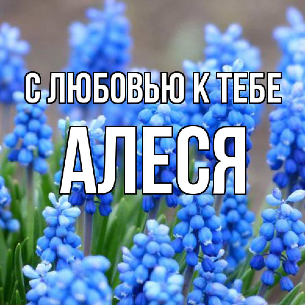 Открытка  с именем. Алеся, С любовью к тебе  