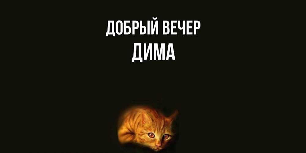 Открытка  с именем. Дима, Добрый вечер  