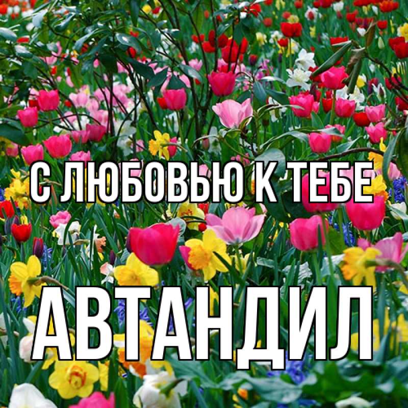 Картинка С любовью к тебе, Автандил