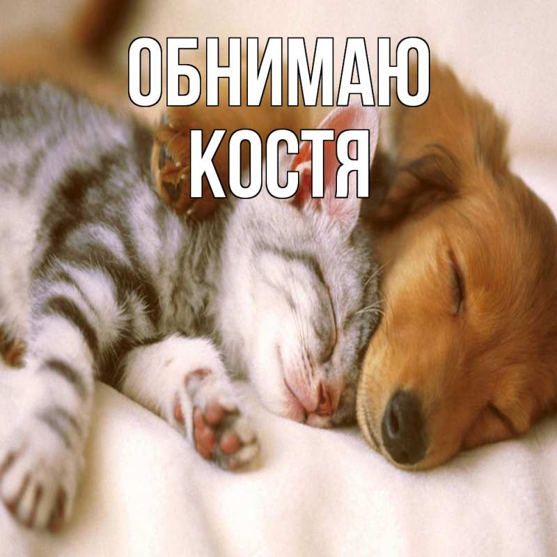 Картинка Обнимаю, костя