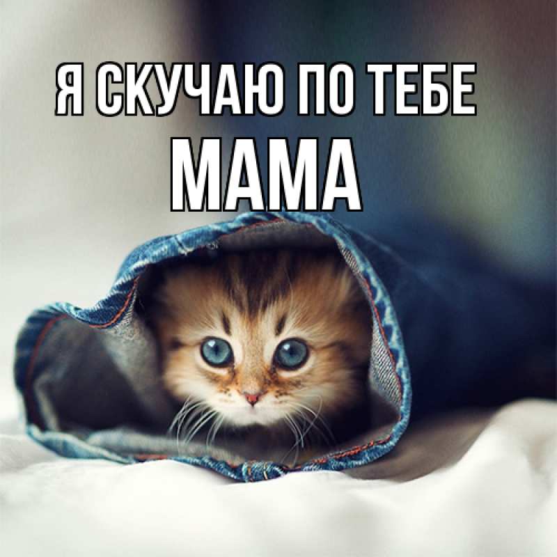 Картинка Я скучаю по тебе, мама