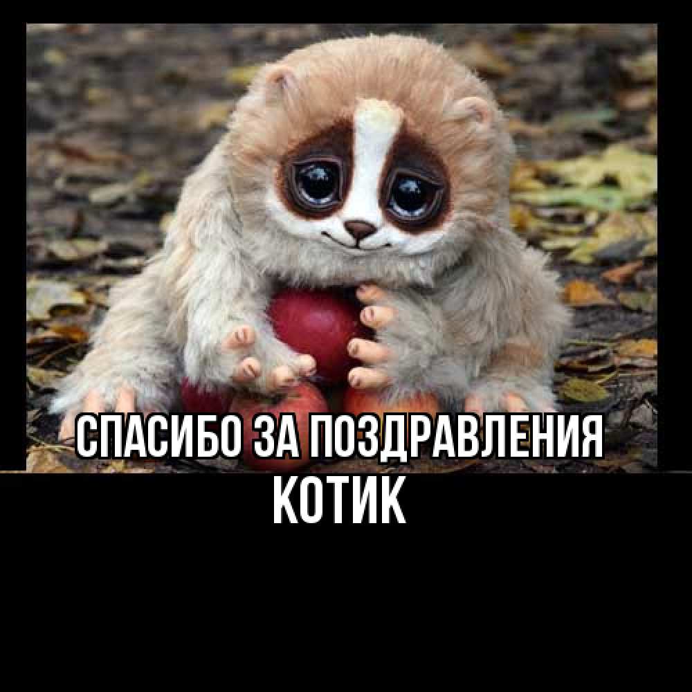 Открытка  с именем. КОТИК, Спасибо за поздравления  