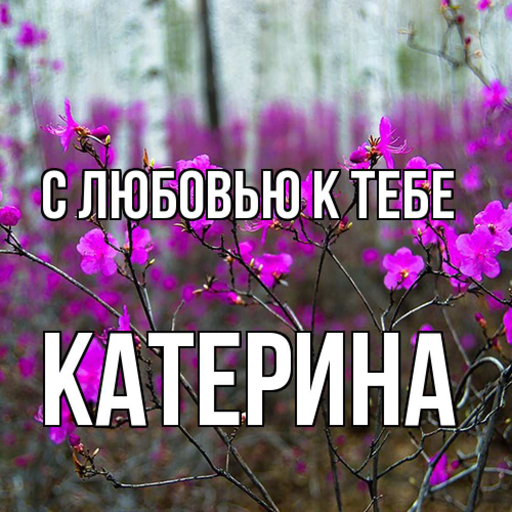 Открытка  с именем. Катерина, С любовью к тебе  