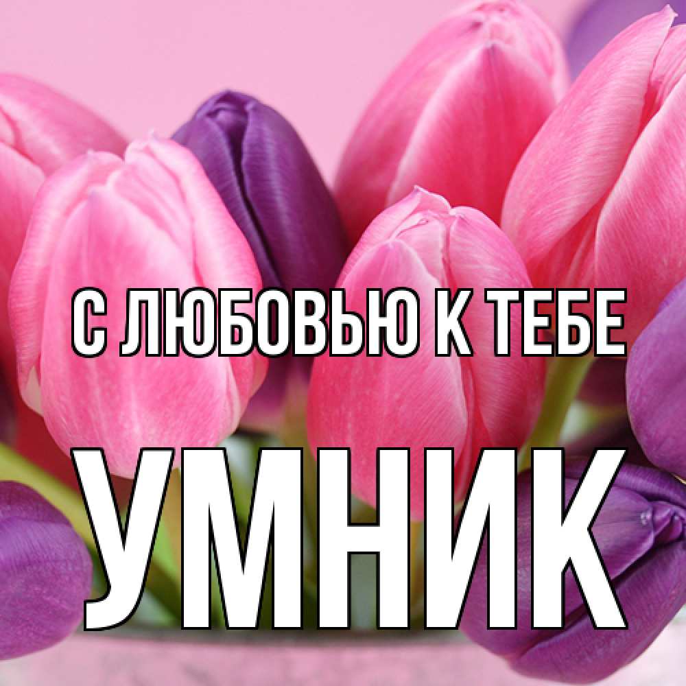 Открытка  с именем. Умник, С любовью к тебе  