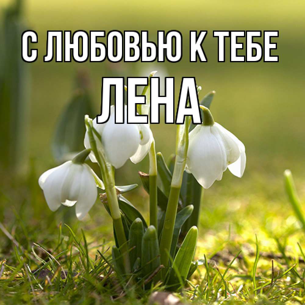 Открытка  с именем. лена, С любовью к тебе  