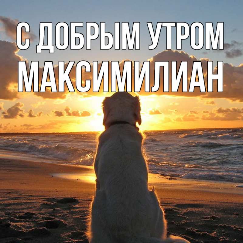 Картинка С добрым утром, Максимилиан
