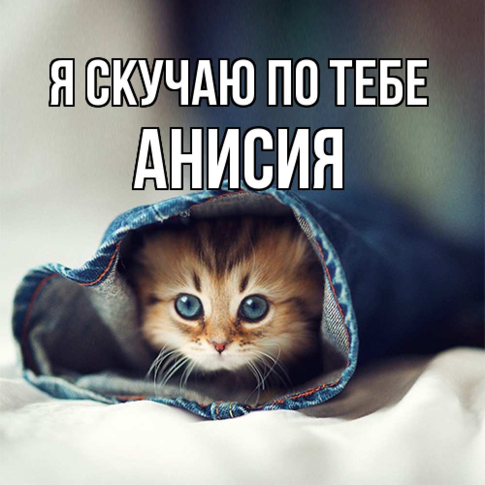 Открытка  с именем. Анисия, Я скучаю по тебе  