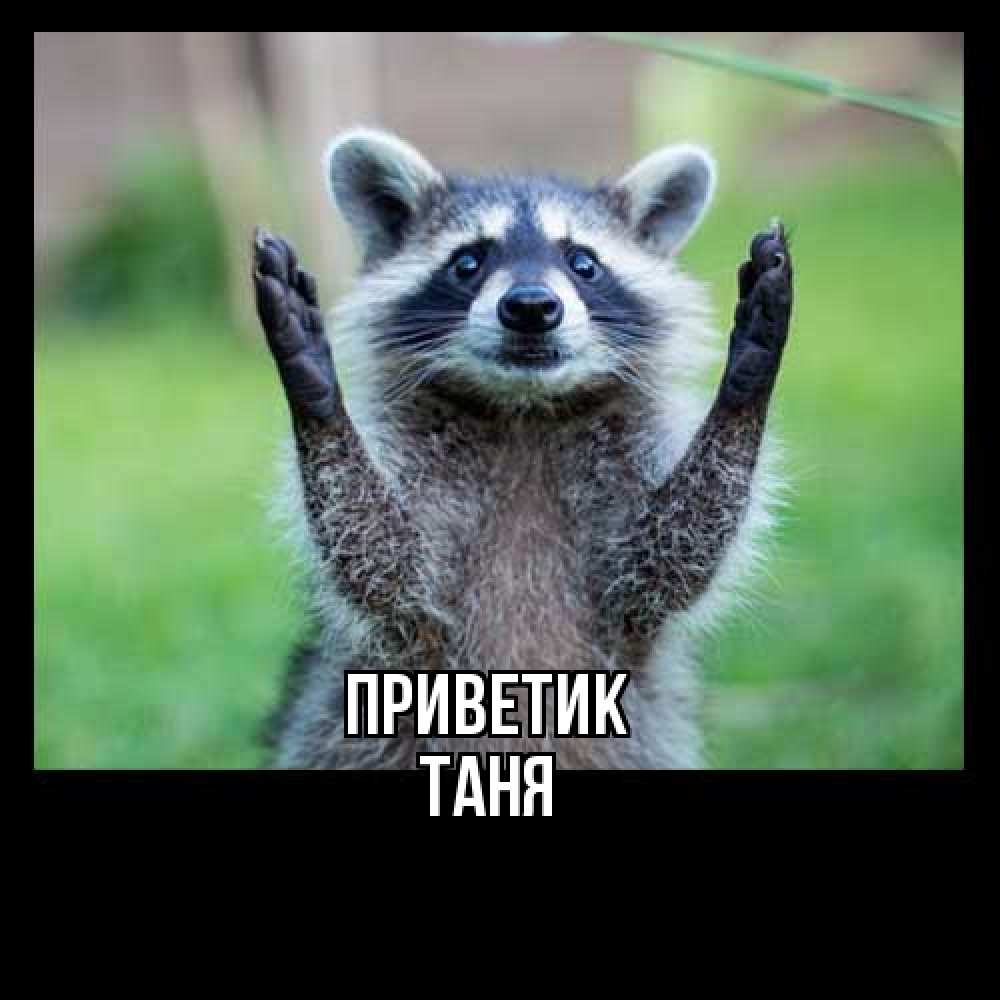 Открытка  с именем. Таня, приветик  