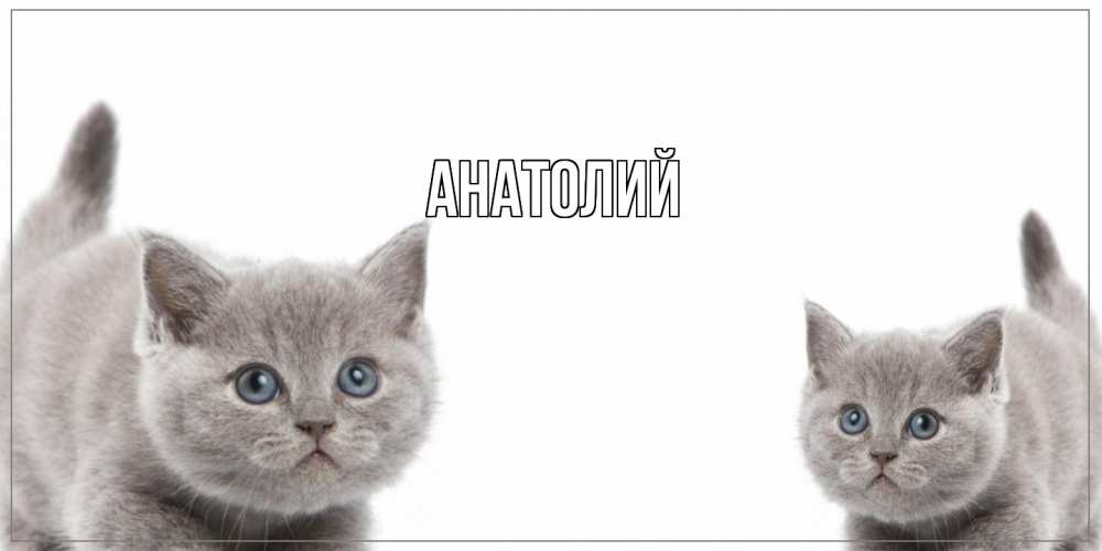 Открытка  с именем. Анатолий, Главная  
