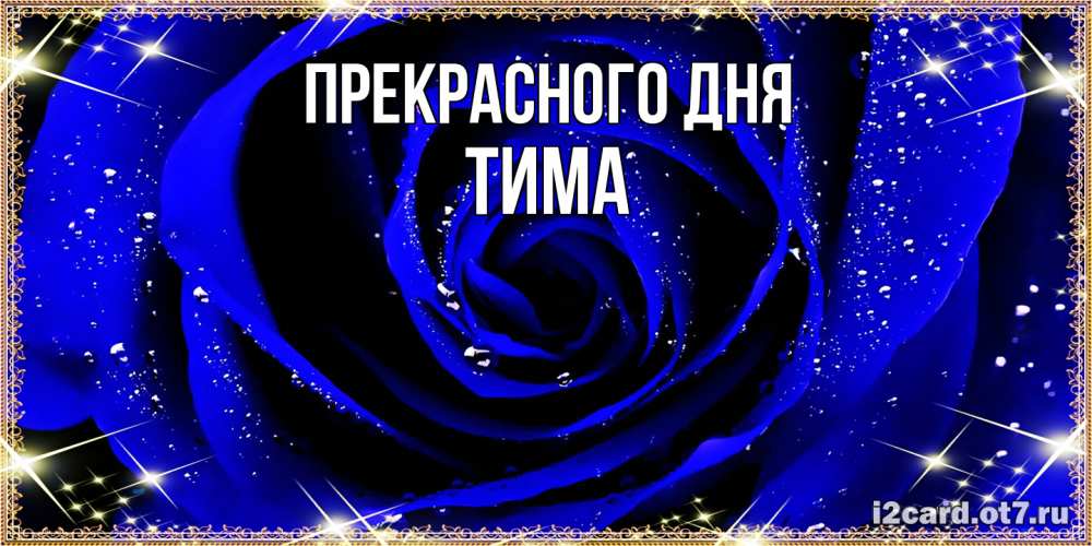 Открытка  с именем. Тима, Прекрасного дня  
