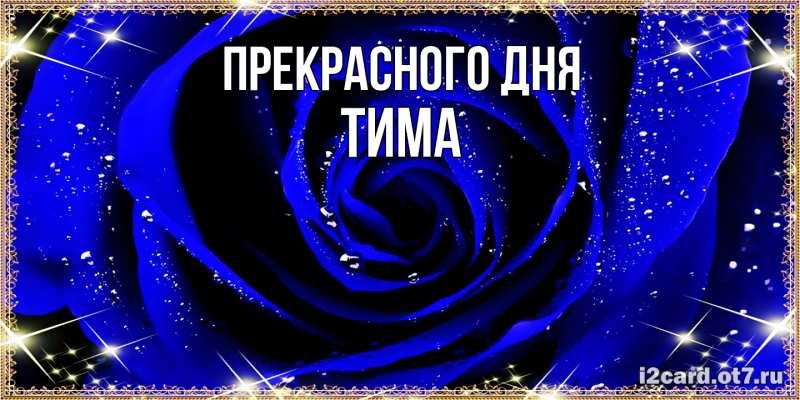 Картинка Прекрасного дня, Тима