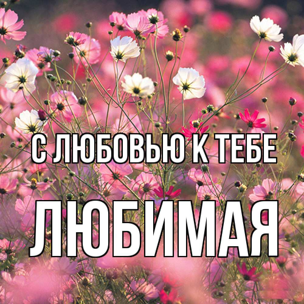 Открытка  с именем. Любимая, С любовью к тебе  