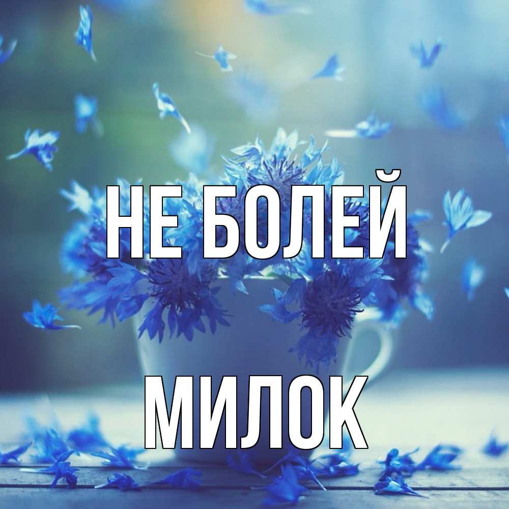 Открытка  с именем. Милок, Не болей  