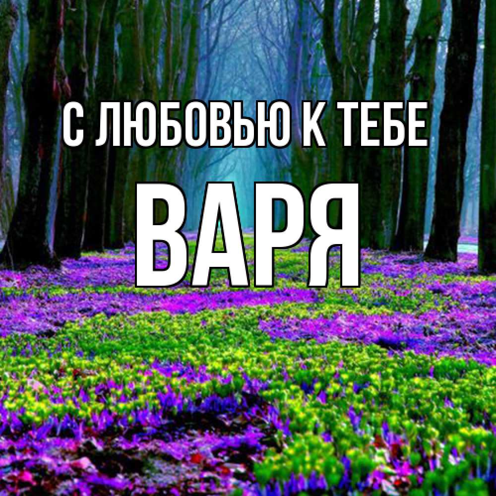 Открытка  с именем. варя, С любовью к тебе  