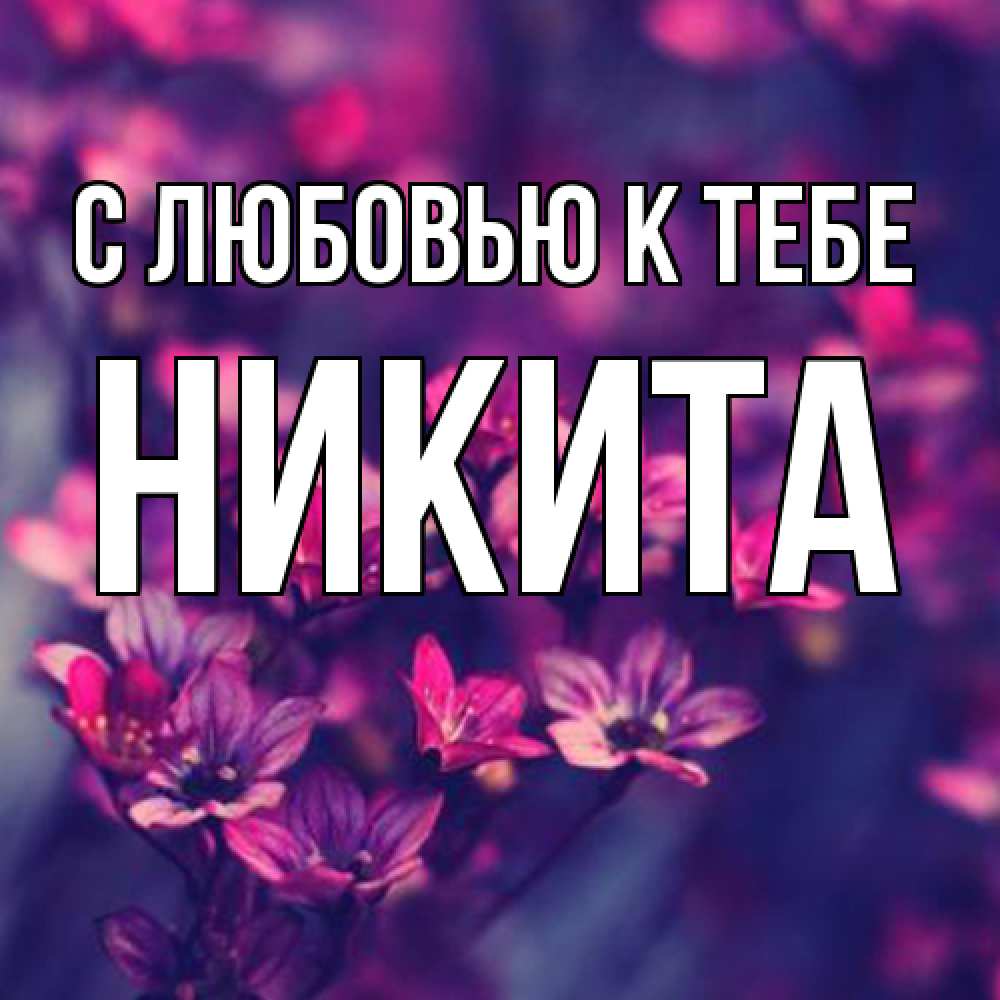 Открытка  с именем. Никита, С любовью к тебе  