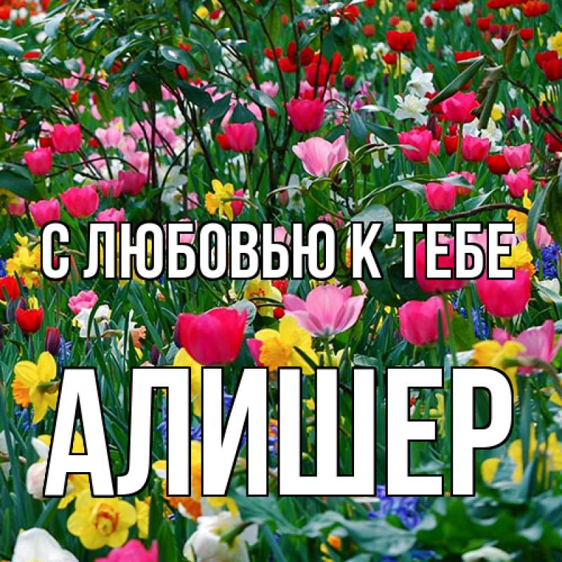 Картинка С любовью к тебе, Алишер