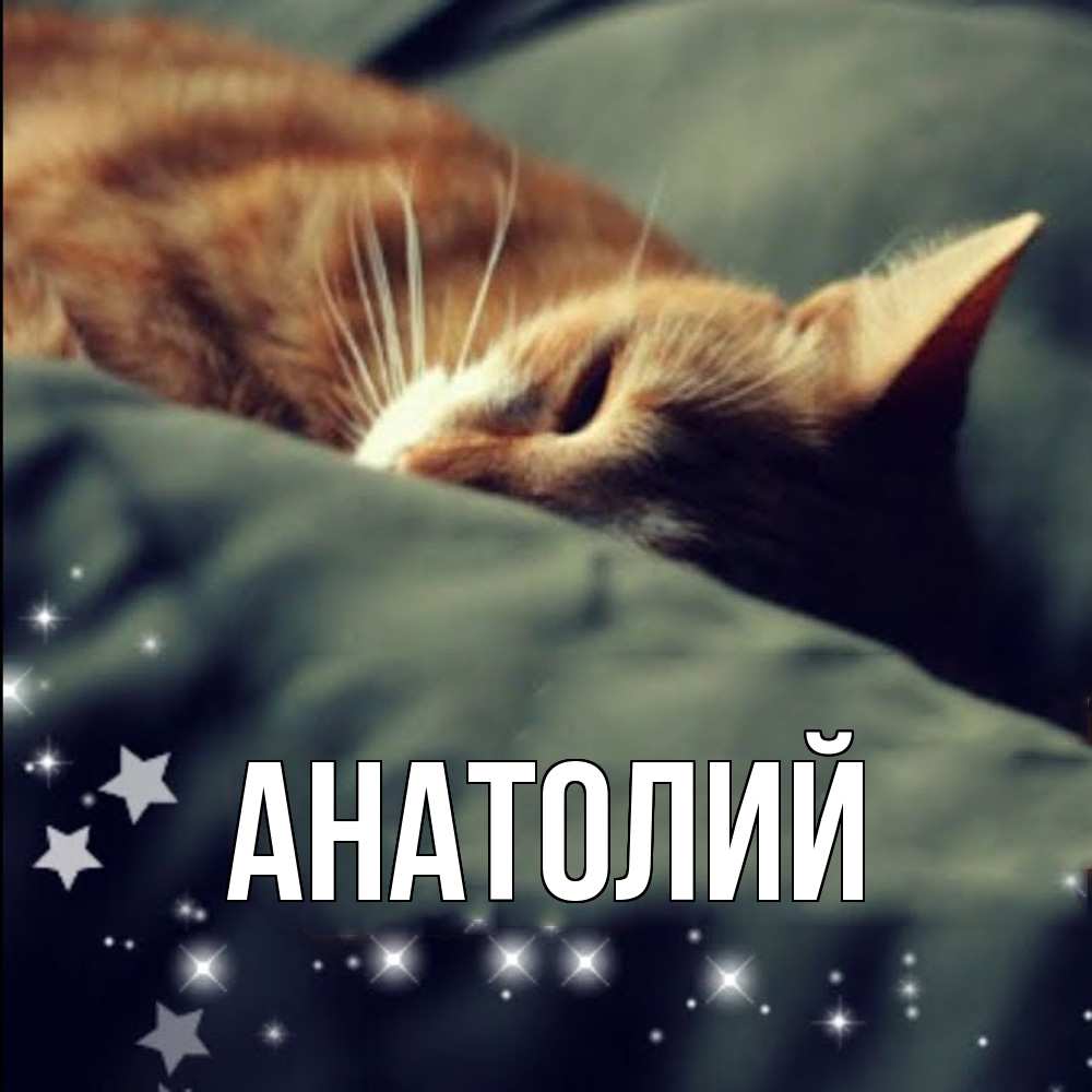 Открытка  с именем. Анатолий, Главная  
