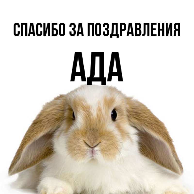 Картинка Спасибо за поздравления, Ада