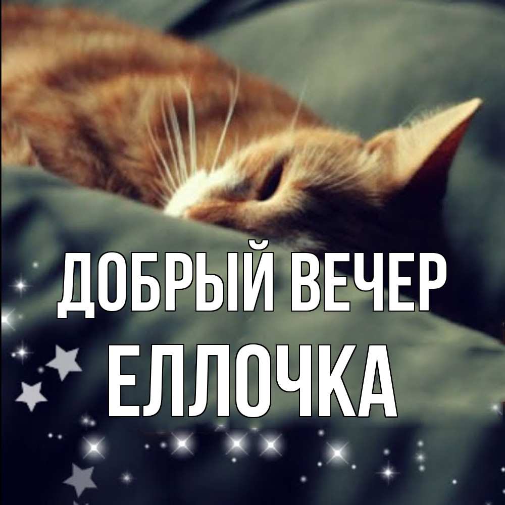 Открытка  с именем. Еллочка, Добрый вечер  