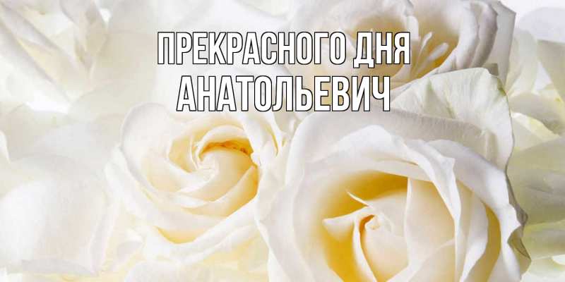 Картинка Прекрасного дня, Анатольевич