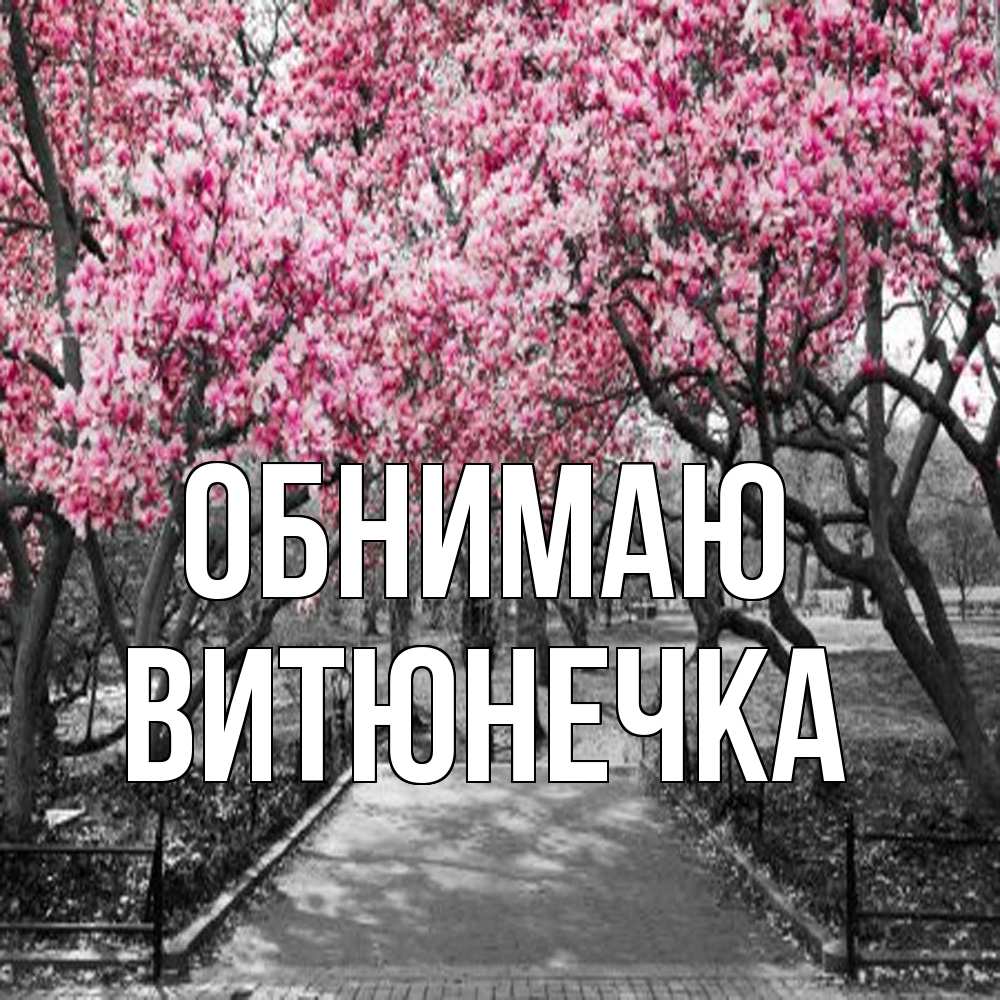 Открытка  с именем. Витюнечка, Обнимаю  