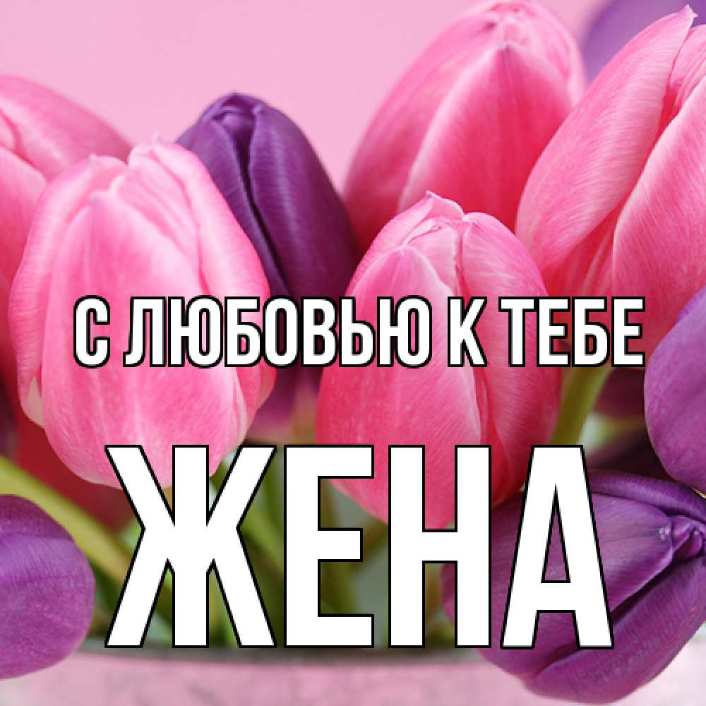 Открытка  с именем. Жена, С любовью к тебе  