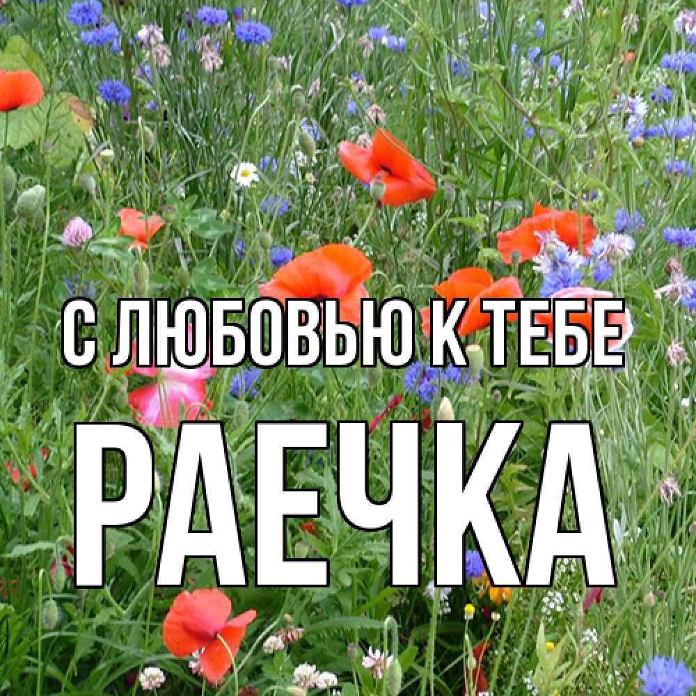 Открытка  с именем. Раечка, С любовью к тебе  