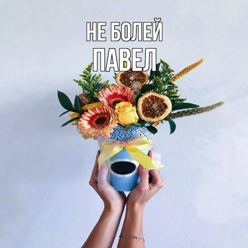 Картинка Не болей, Павел