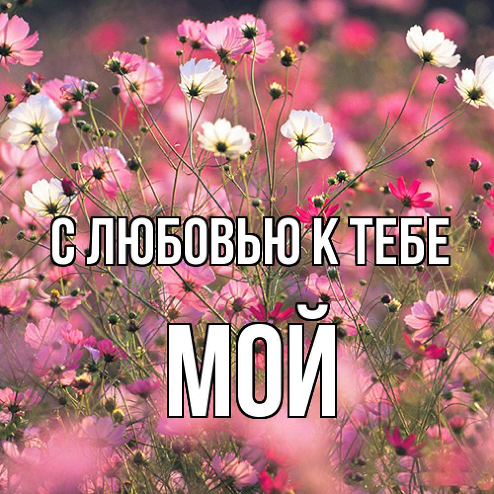 Открытка  с именем. Мой, С любовью к тебе  