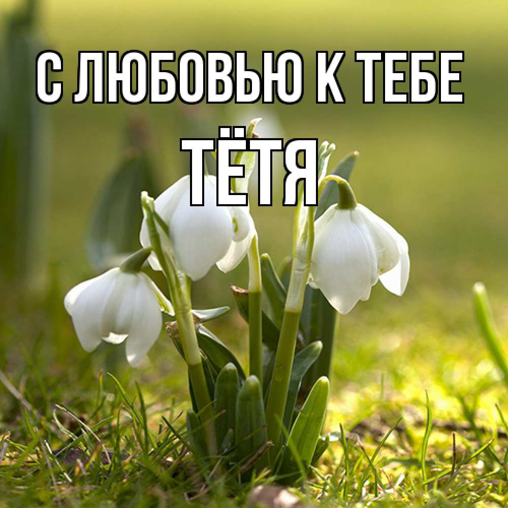 Открытка  с именем. Тётя, С любовью к тебе  