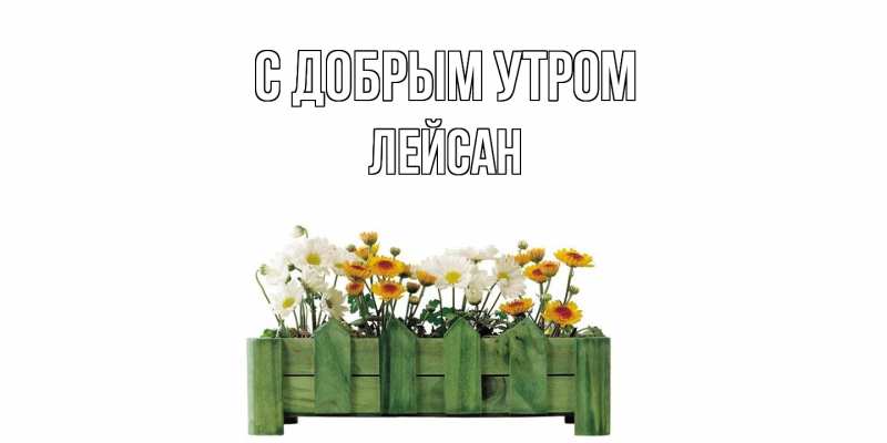 Картинка С добрым утром, Лейсан