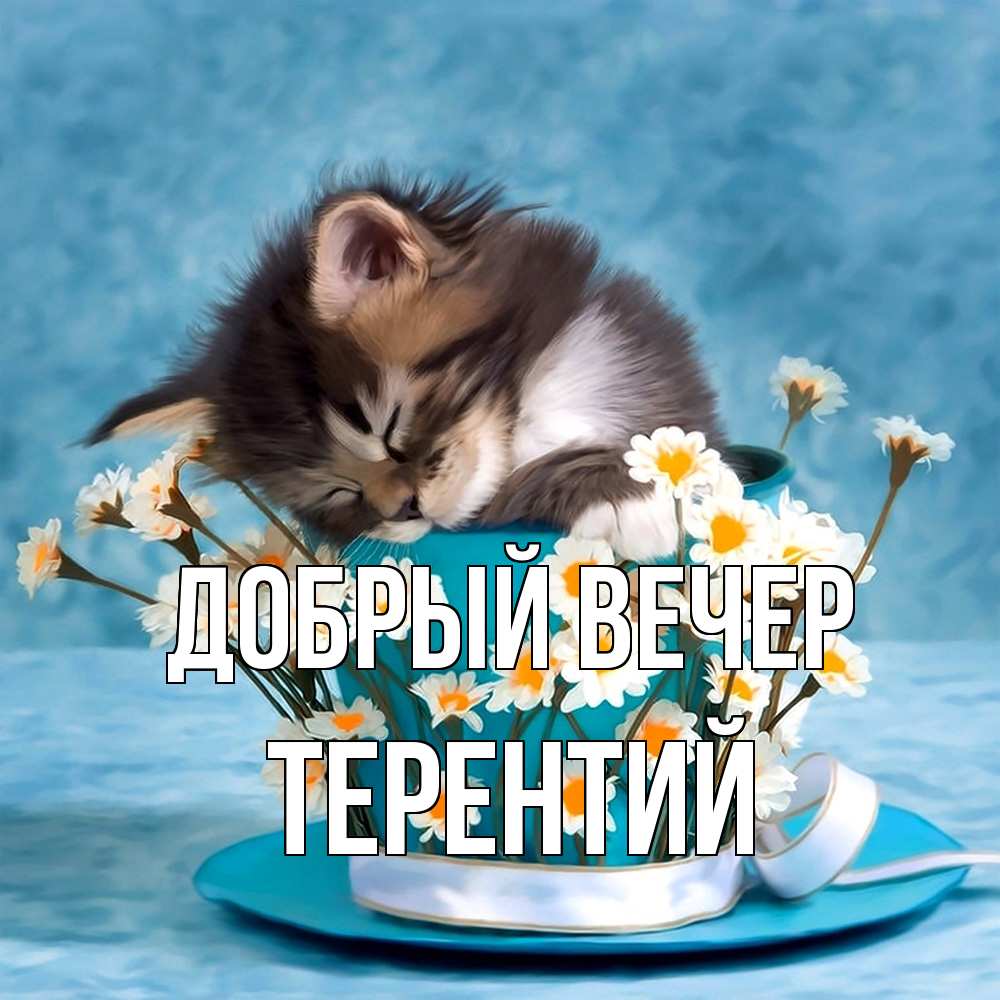 Открытка  с именем. Терентий, Добрый вечер  