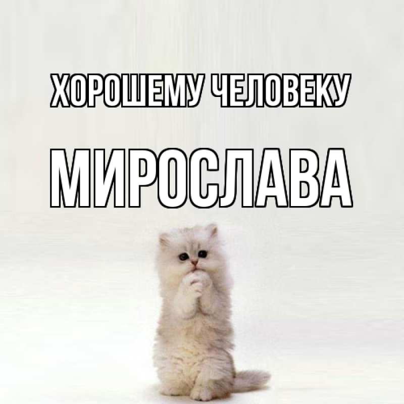 Картинка Хорошему человеку, Мирослава