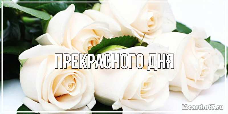 Картинка Прекрасного дня, 