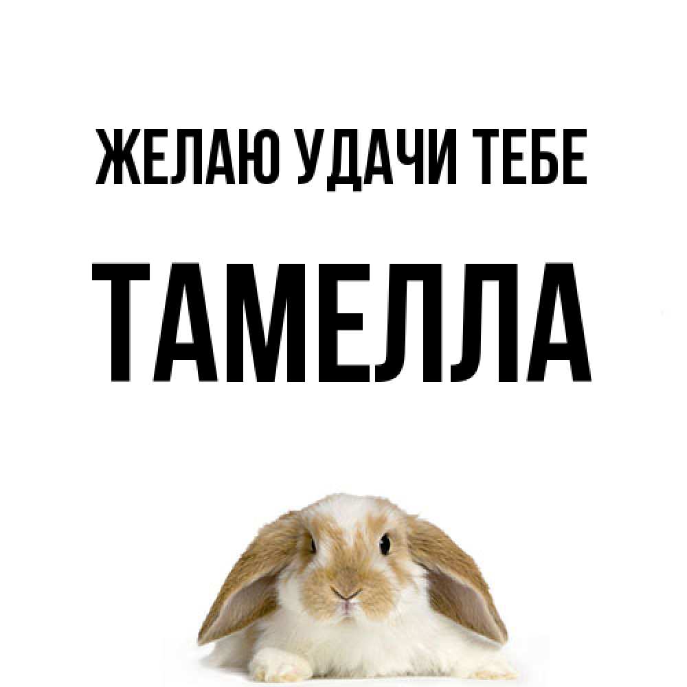 Открытка  с именем. Тамелла, Желаю удачи тебе  