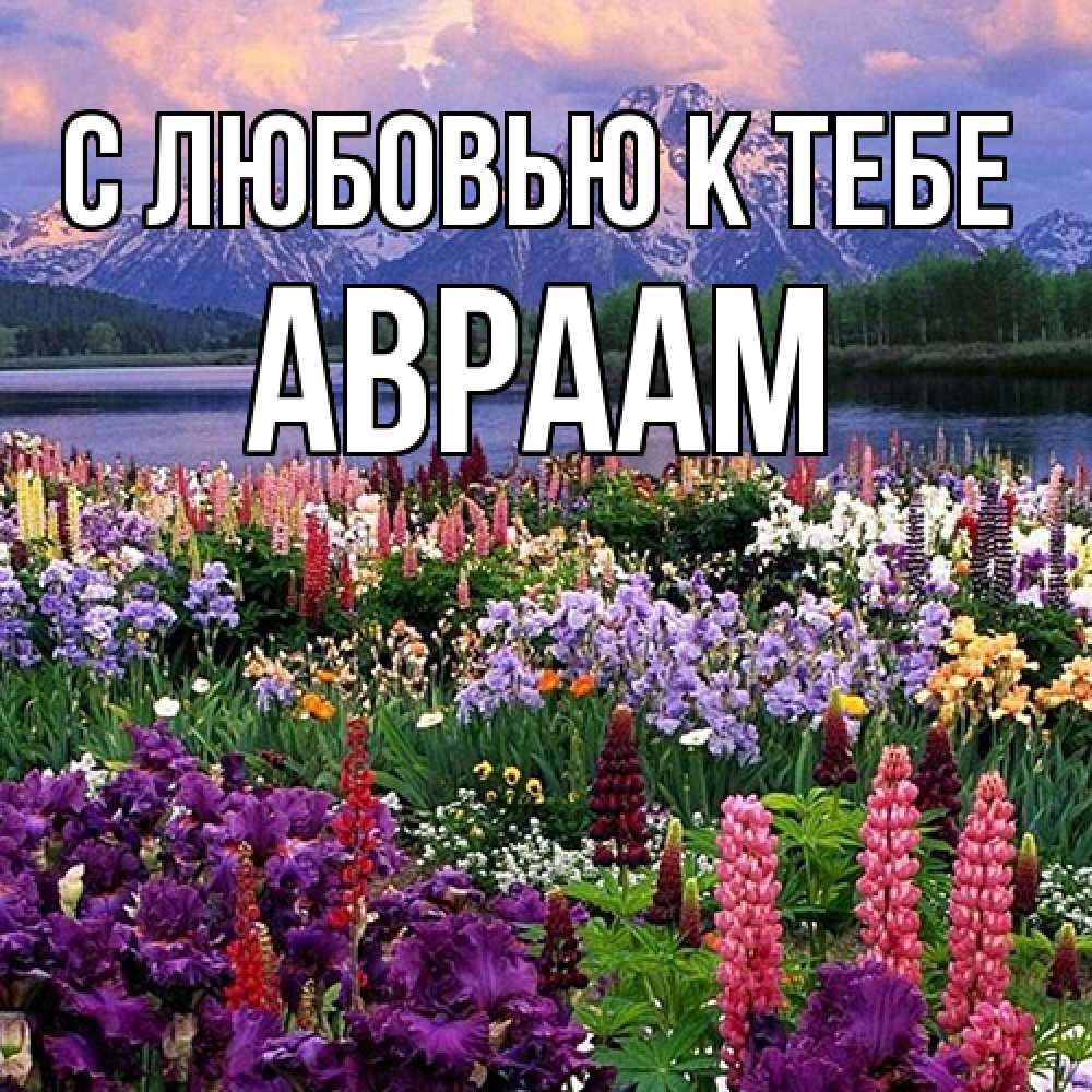 Открытка  с именем. Авраам, С любовью к тебе  