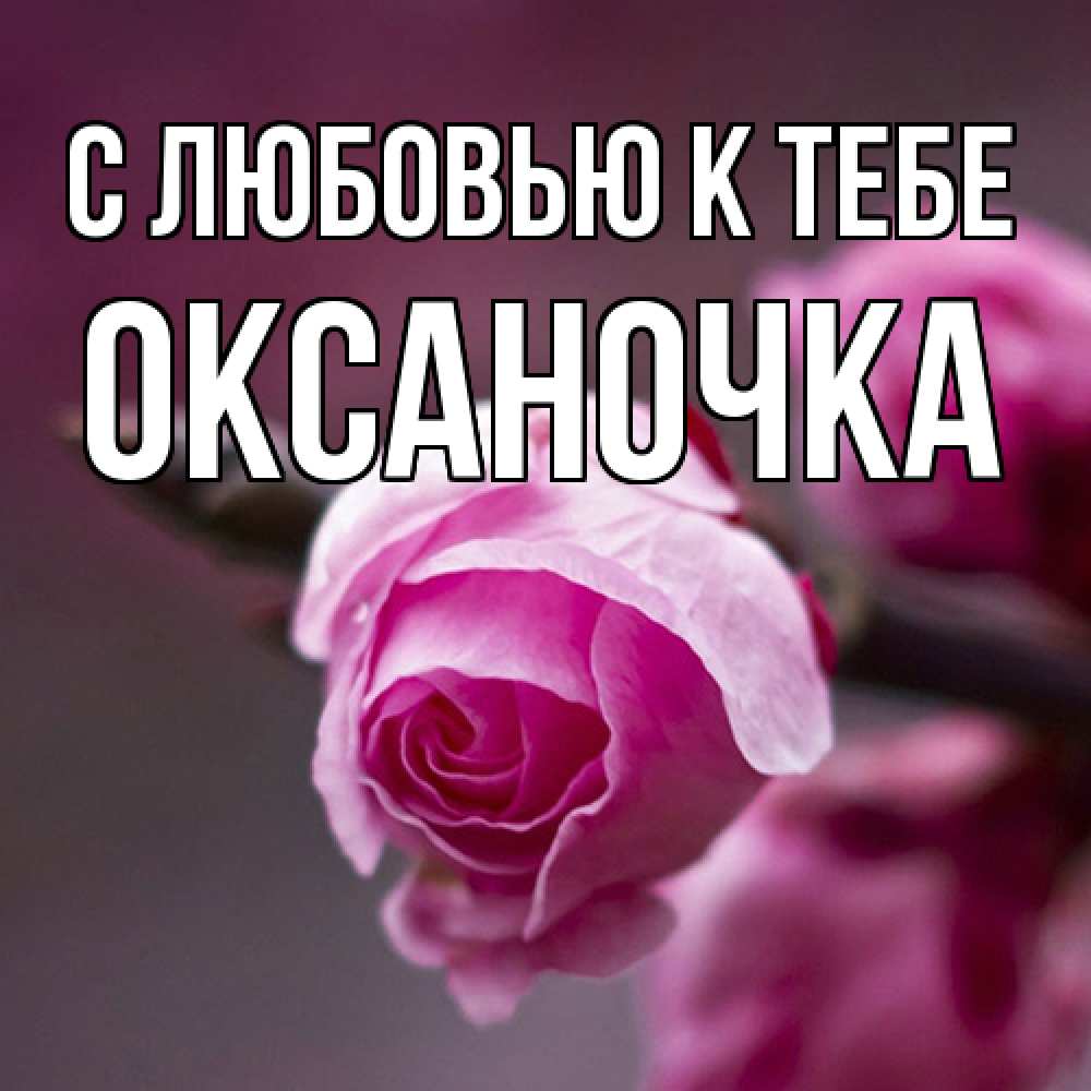 Открытка  с именем. ОКСАНОЧКА, С любовью к тебе  