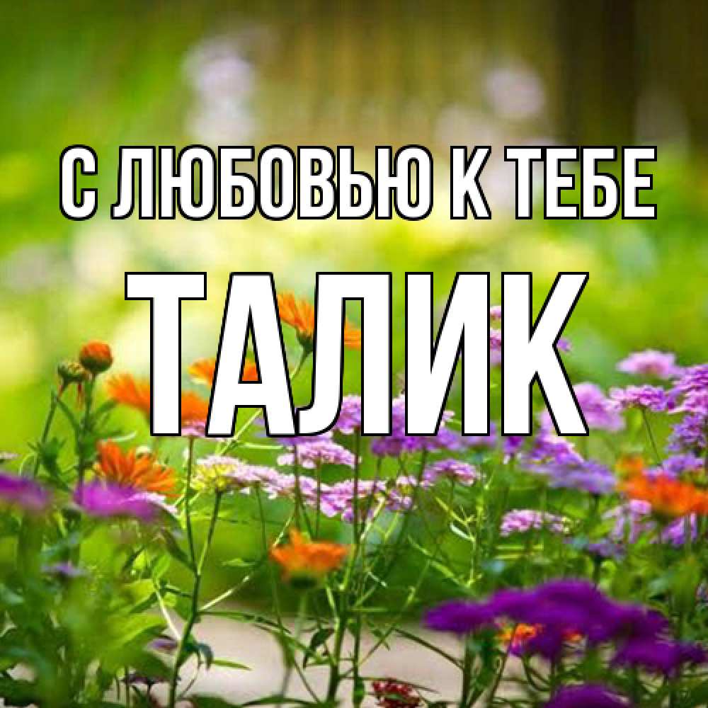 Открытка  с именем. Талик, С любовью к тебе  