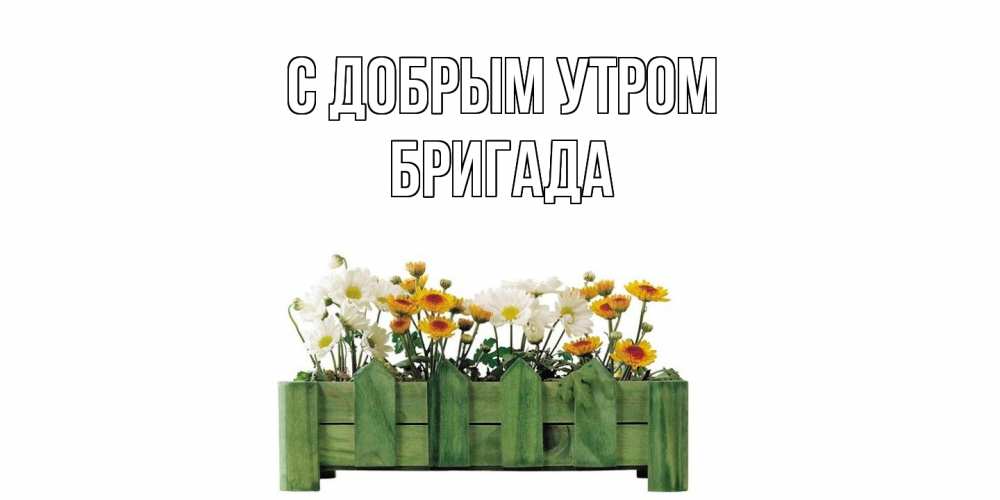 Открытка  с именем. Бригада, С добрым утром  