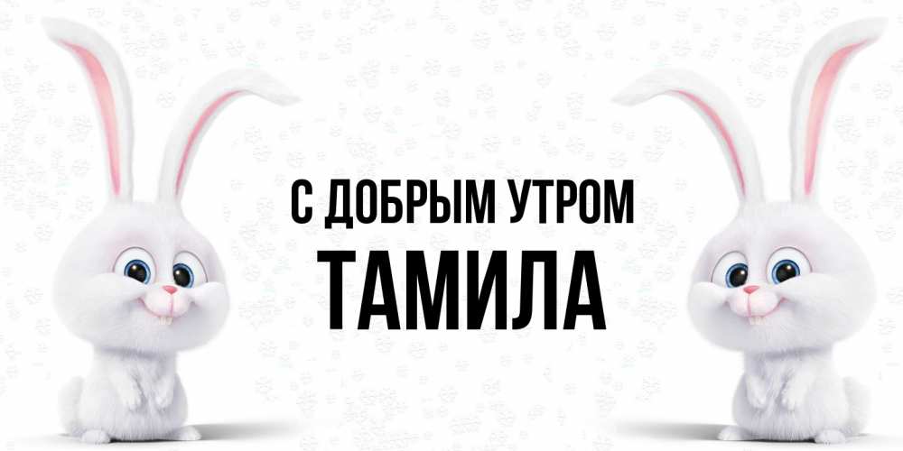 Открытка  с именем. Тамила, С добрым утром  