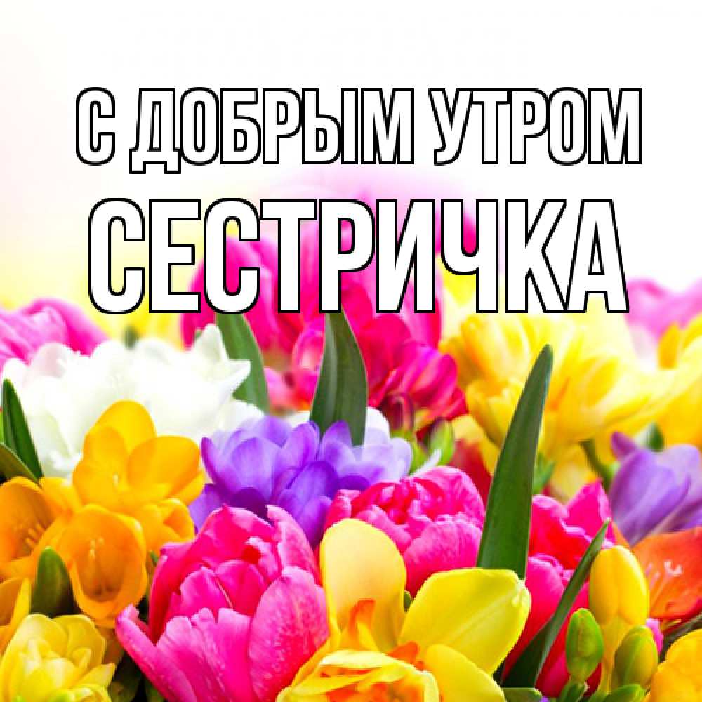 Открытка  с именем. Сестричка, С добрым утром  