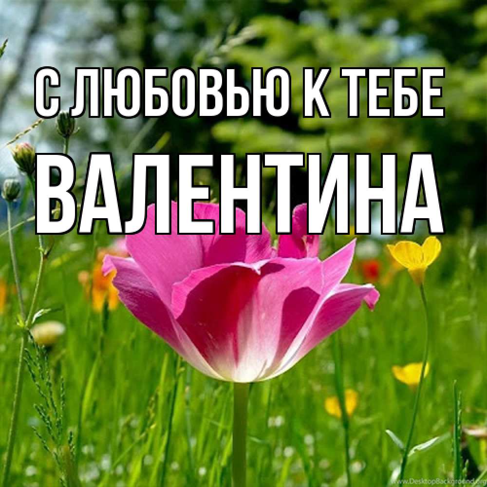 Открытка  с именем. валентина, С любовью к тебе  