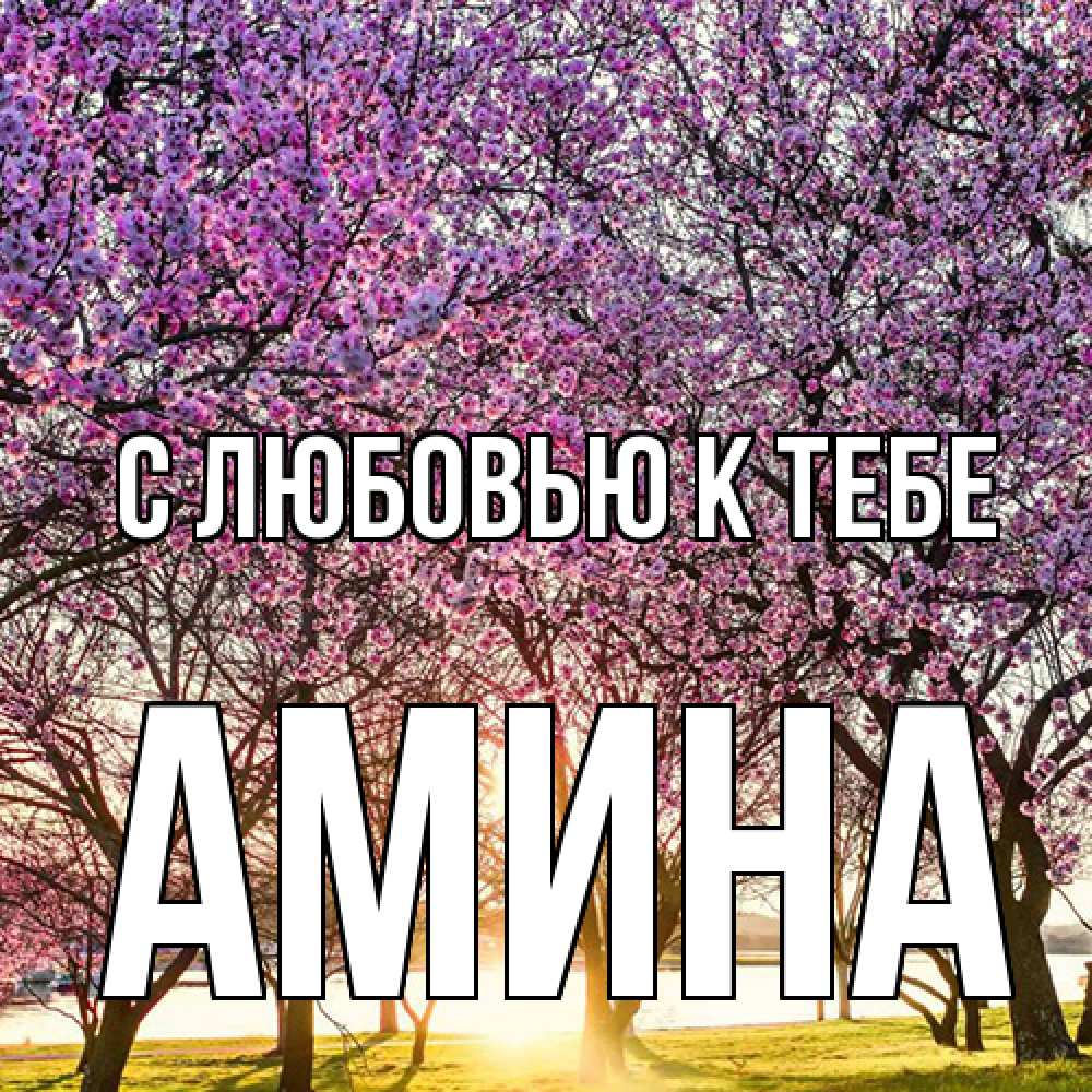 Открытка  с именем. Амина, С любовью к тебе  