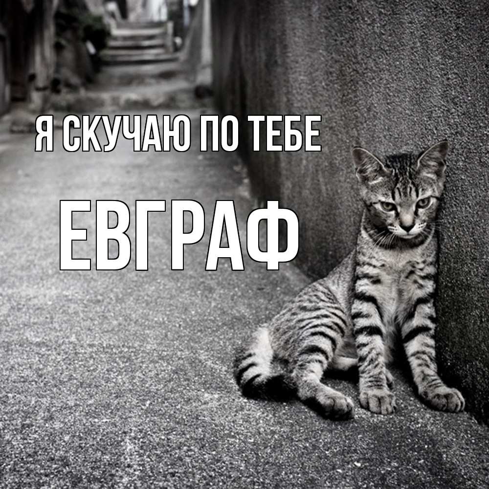 Открытка  с именем. Евграф, Я скучаю по тебе  