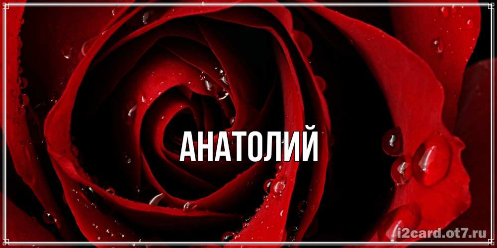Открытка  с именем. Анатолий, Главная  
